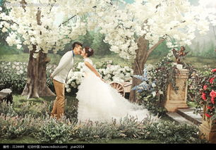 接吻的情侶婚紗攝影圖片免費(fèi)下載 編號(hào)3134449 紅動(dòng)網(wǎng)