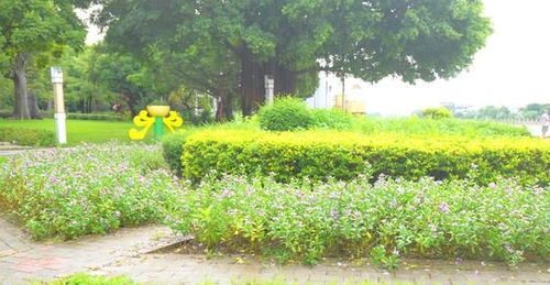 中山市小欖江濱公園 從造船廠到婚紗攝影基地的華麗轉身